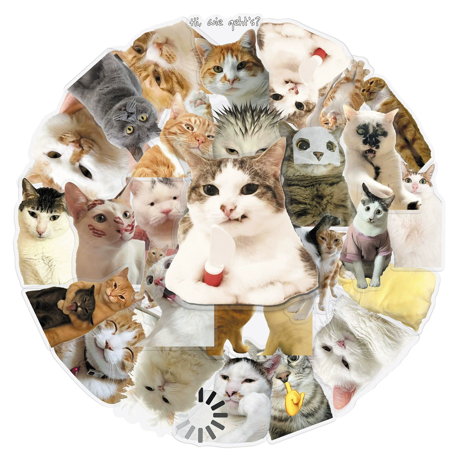 50 pieces of Hakimi animal PET transparent stickers realistic and creative cat expression bag storage box Guka DIY stickers