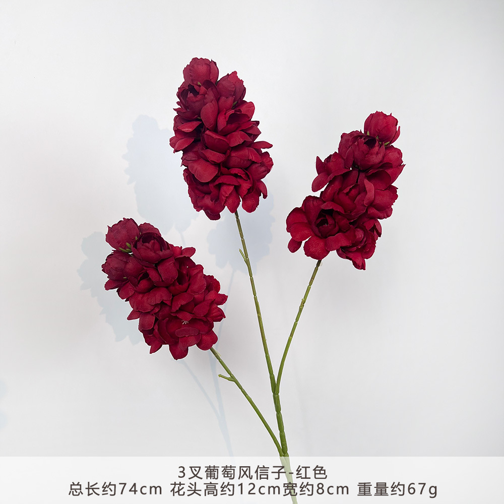 Cc-3 forked grape hyacinth - red