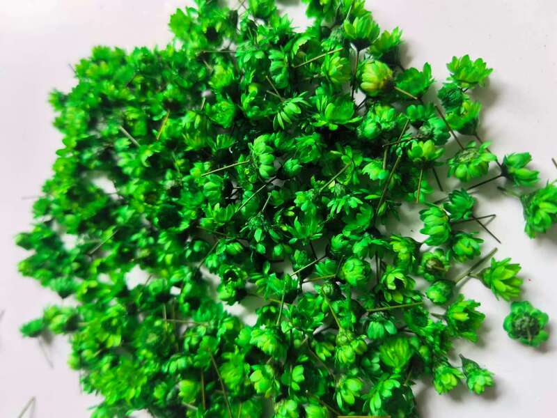 Diyドライフラワー小野菊10グラムデイジー頭小星花頭無枝水晶滴糊ガラスカバー|undefined