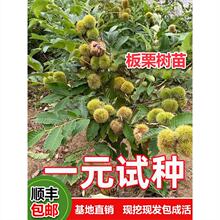 �������޽Ӵ�t�۳е��ϱ����Nֲ����ͥԺ�ش��������������