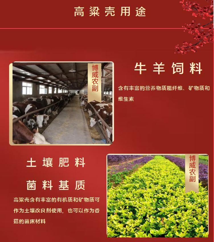 c6031117fe52011574aa5ed6bab858