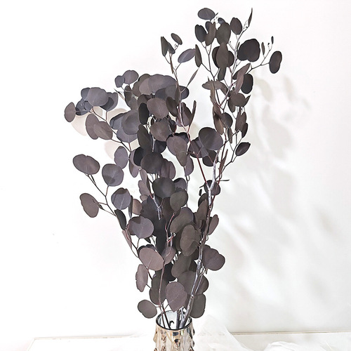 Everlasting Apple Eucalyptus Round Leaf Lemon Scented Gum Real Flower Indoor Decoration Ornament Nordic Style Yunnan Everlasting Flower