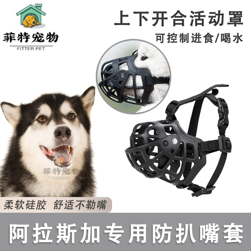 Аляскинская собачья крышка рта большая собака против укуса