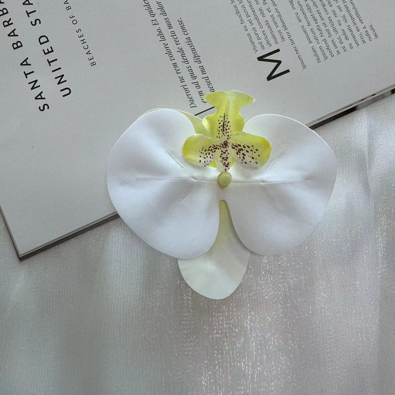 노란색 코어 흰색