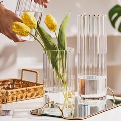 Transparent glass vase with an Instagram-style, high-end, minimalist Nordic design, suitable for living room creative decor, dried flower hydroponic flower pot.