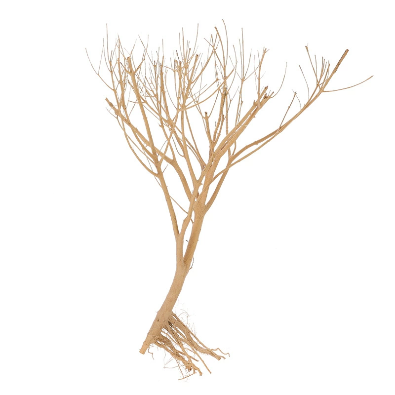 Аквариумный ландшафт Mosch Chilan Tree Aquarium Ecological Aquarius Skeleton Small Branches Small Tree Smart Tree Оптовая продажа
