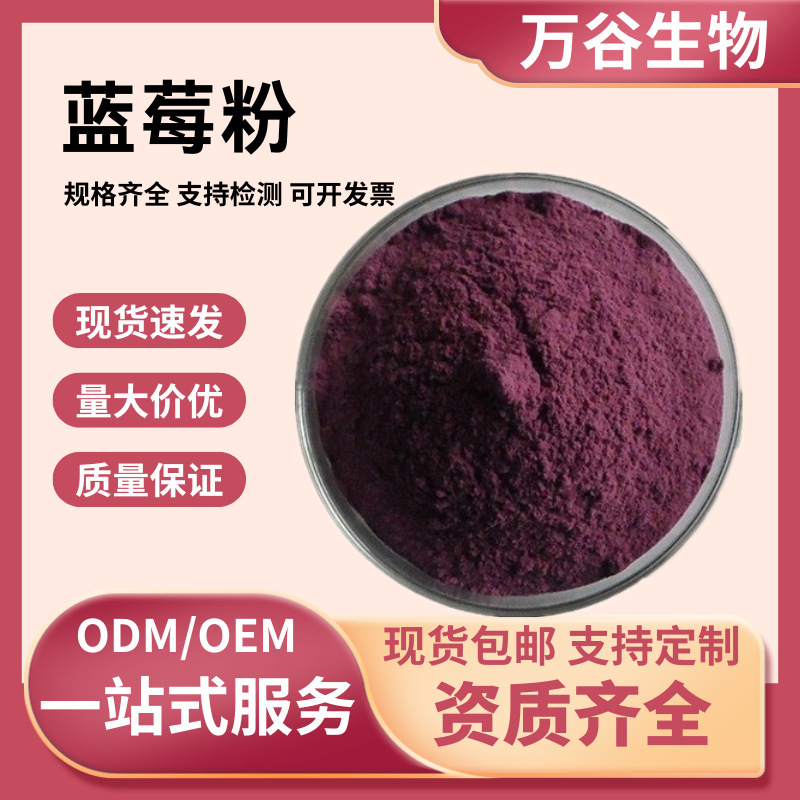 Blueberry Powder, Water-Soluble Blueberry Fruit Powder, Blueberry Extract Concentrated Juice Powder, Freeze-Dried Blueberry Powder, Food-Grade Powder