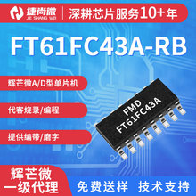 һ��������ֱ����â΢FT61FC43A-RB��װSOP16ԭװоƬFMD��Ƭ��IC