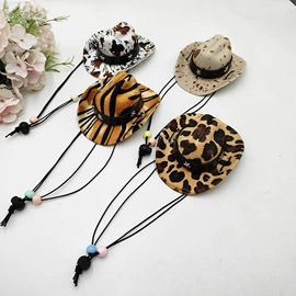 宠物帽子;节庆服饰配件