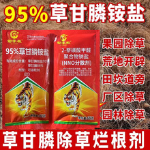 �z�ƙ�95%�ݸ���@�}���݄��ݸ��׳��ݠ��������l�JȔ�����ݸ�Ч