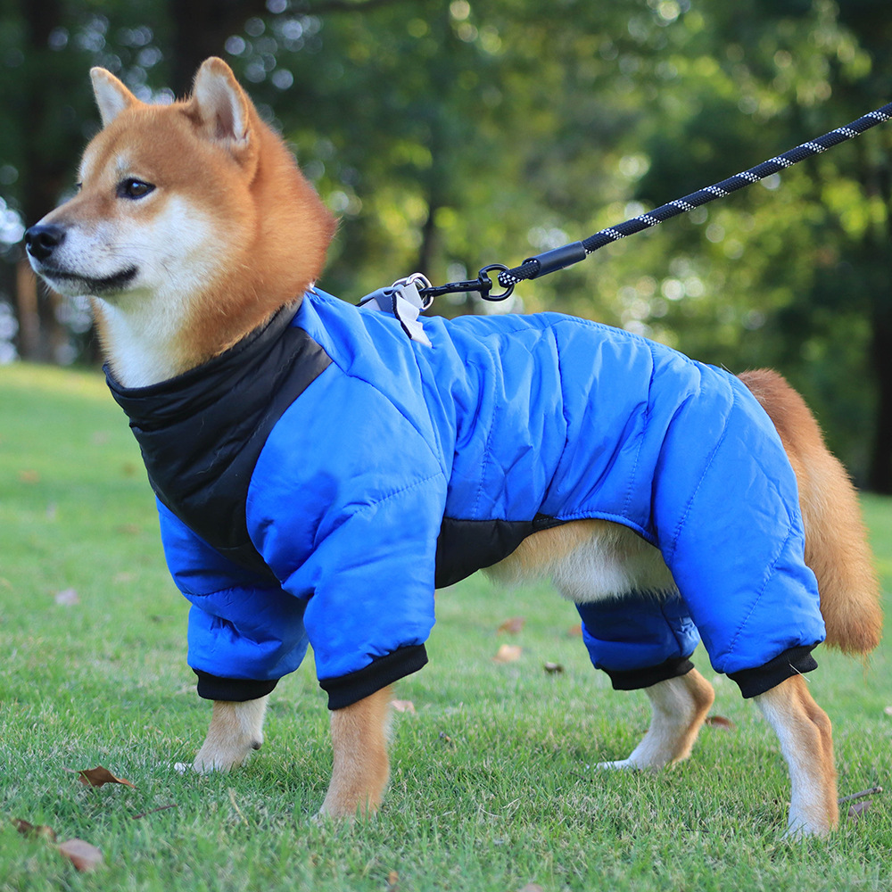 Sweat à capuche réfléchissant chaud pour shiba inu et corgi_voghion.com