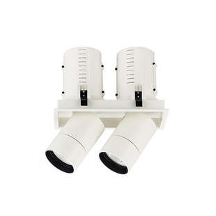 Export LED embedded grille lamp double head lamp COB 15W 25W 35W shopping mall hotel merchandise store home