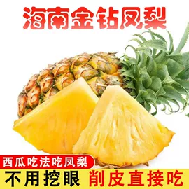 传统糕点;西式糕点;饼干
