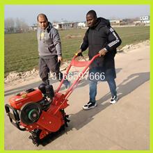�Ď��Ď������tţʽ����С�_�������C�����܉΢���C�Ų��N�Cʩ