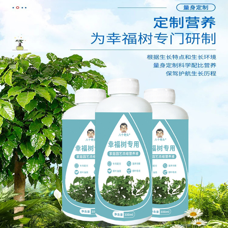 廠家供應八個老頭幸福樹專用營養液家用養花卉綠植水培通用型植物
