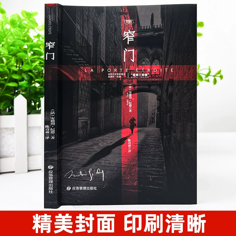 Узкие врата, классика, лауреат Нобелевской премии. Прочитав «Узкие врата», вы поймете жизнь Жида
