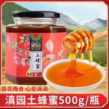 滇园土蜂蜜500g/瓶 云南农家土蜂蜜  蜂蜜柚子茶 蜂蜜柠檬茶原料