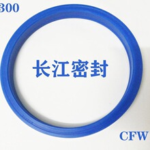 XN39037 NI300 50-60-10 cfw merkel freudenberg�ͷ�