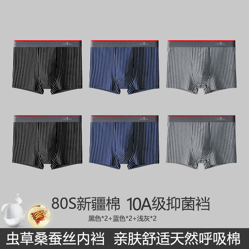 6개입 [뽕나무 누에고치 + 동충하초] 세트 A