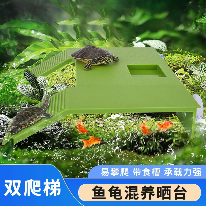 Черепаха с двумя лестницами подается на стол