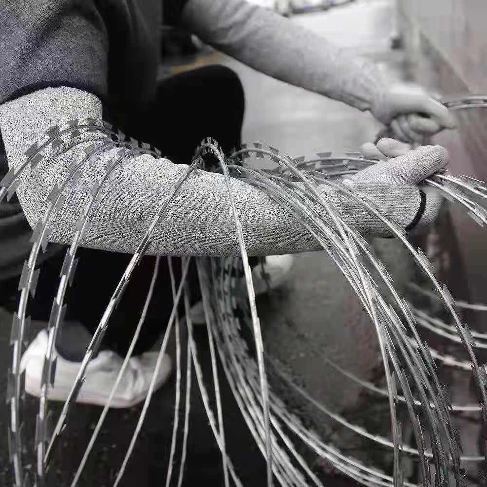 2cf0628b8024cab715f813e22ea038