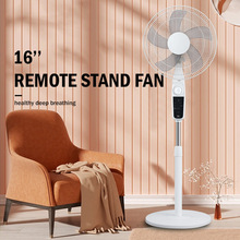 16寸 220V 110V stand fan 家用遥控定时落地电风扇 家用电风扇