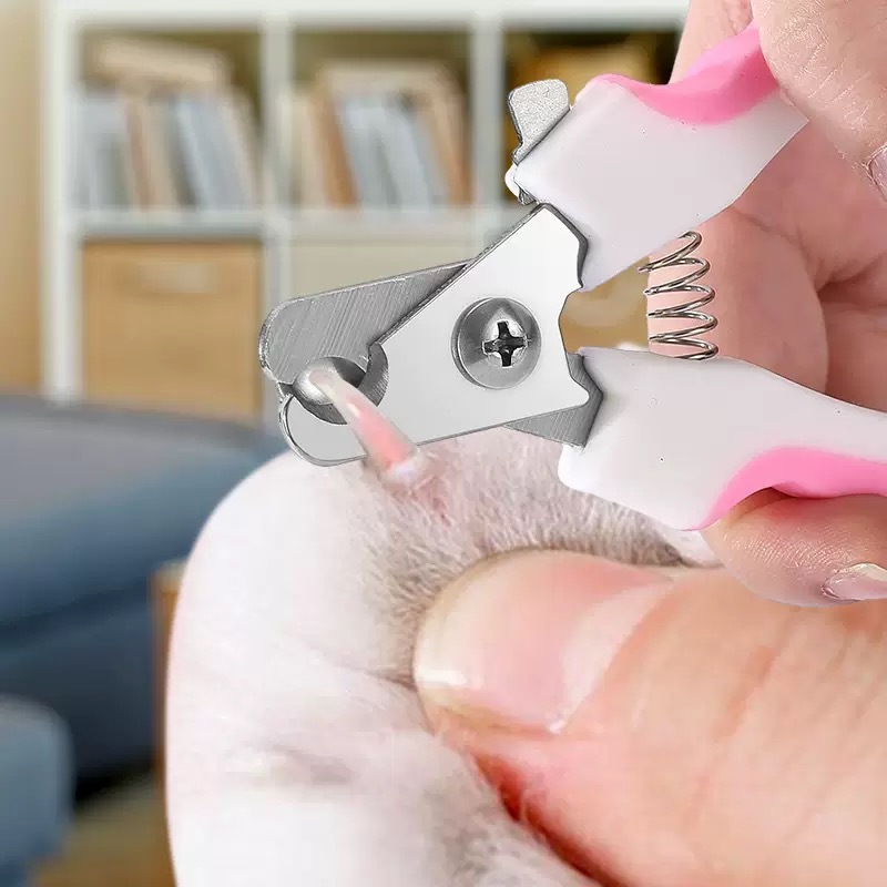不锈钢大小号猫狗指甲钳清洁工具宠物指甲剪套装批发指甲刀高颜值|undefined