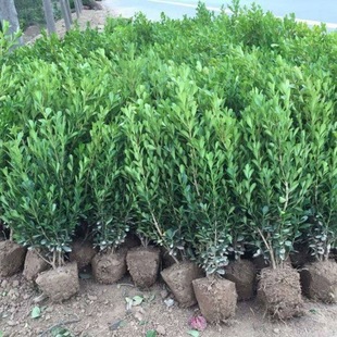 ͥԺ���������辰�䘶�G����С�~�����S���������S����窚�Uֲ��