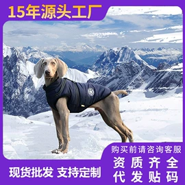 狗狗服装;狗狗牵引;宠物绝育服/生理裤