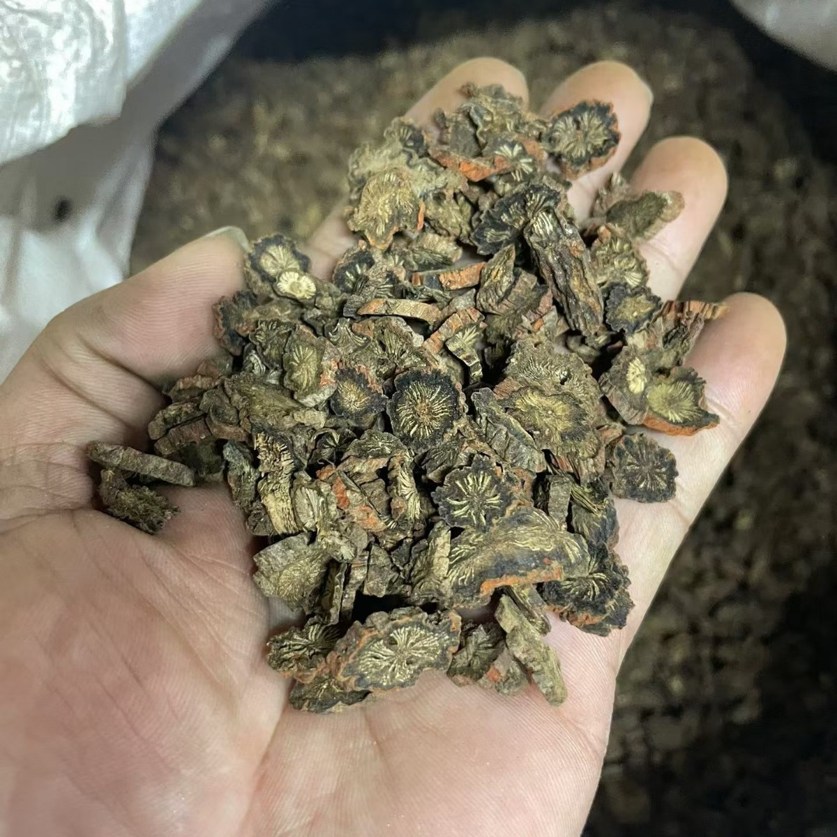 Dried Red Sage Root Slices Dan Shen 500g Traditional Chinese Herb for Cooking and Decoction overview