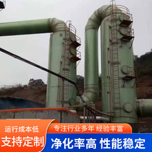 玻璃钢洗涤塔烟筒废气治理喷淋塔化工厂区酸雾吸收脱硫塔耐高温