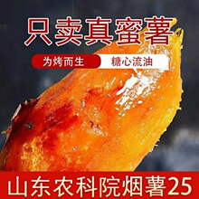 烟薯山东25号红心甜新鲜蜜糖心流油自种烤地瓜番薯山芋亚马逊厂家