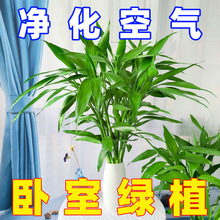 FˮBˮֲD\҃ȾGֲܿ͏dklF