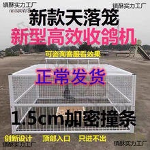 天落笼只进不出野外抓鸽神器鸽子自动捕鸽神器收鸽机撞门鸽麦太保