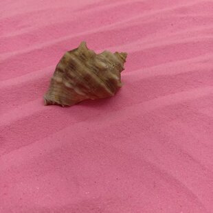 ��ɫɰȾɫɳ�ӏS�����lɳƿɳ����cɳ��ͯ�ֹ��W�tȾɫɳ��