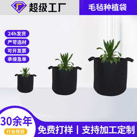 土豆种植袋毛毡美植袋无纺布育苗袋园艺蔬菜植树种植营养袋