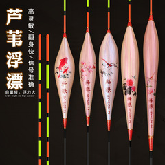 Chujiang Fishing Tackle: Eye-Opening, Visibly Sharp, Sensitive Reeds & Floats – All-in-One Kit for Carp, Crucian, and Competitive Fishing