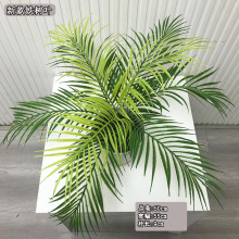 仿真植物铁树叶 装饰绿植热带散尾葵植物墙软装景观植物散尾叶子