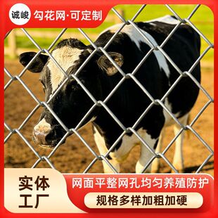 ����\�F�z�W䓽z�W�����Bֳţ�����r�u�W�����W�ˈ@�����W�����W