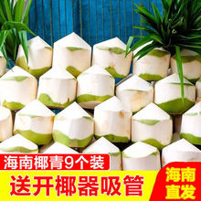 海南椰子新鲜椰青水果当季水果孕妇海南特产文昌热带2/4/6/9整箱