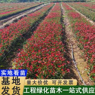 �t�~ʯ骘������ֱ�l�ͺ��ļ�����