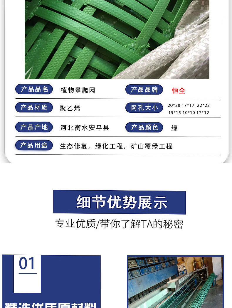 植物攀爬网_05.jpg