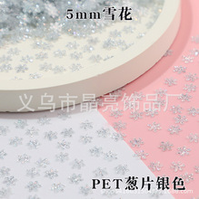 环保PET金葱粉片蝴蝶四角星星雪花银葱片美甲DIY服装辅料500克