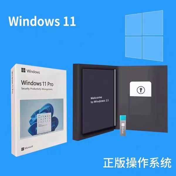 正版Windows11专业版系统u盘64位彩盒电脑重装win10纯净版