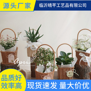 ���Q�羳���Ứ�@�Fˇ���͏͹���@�L�ֹ������r���GֲҰ���ռ{�@