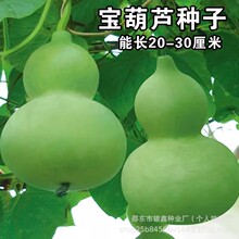 JϷNӲ˺JʳúJNѾƺJԭb߲˺JNӴȫl