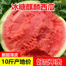 ���ϴ�������8424�Fժ��Ƥ�o�������������r����ˮ��