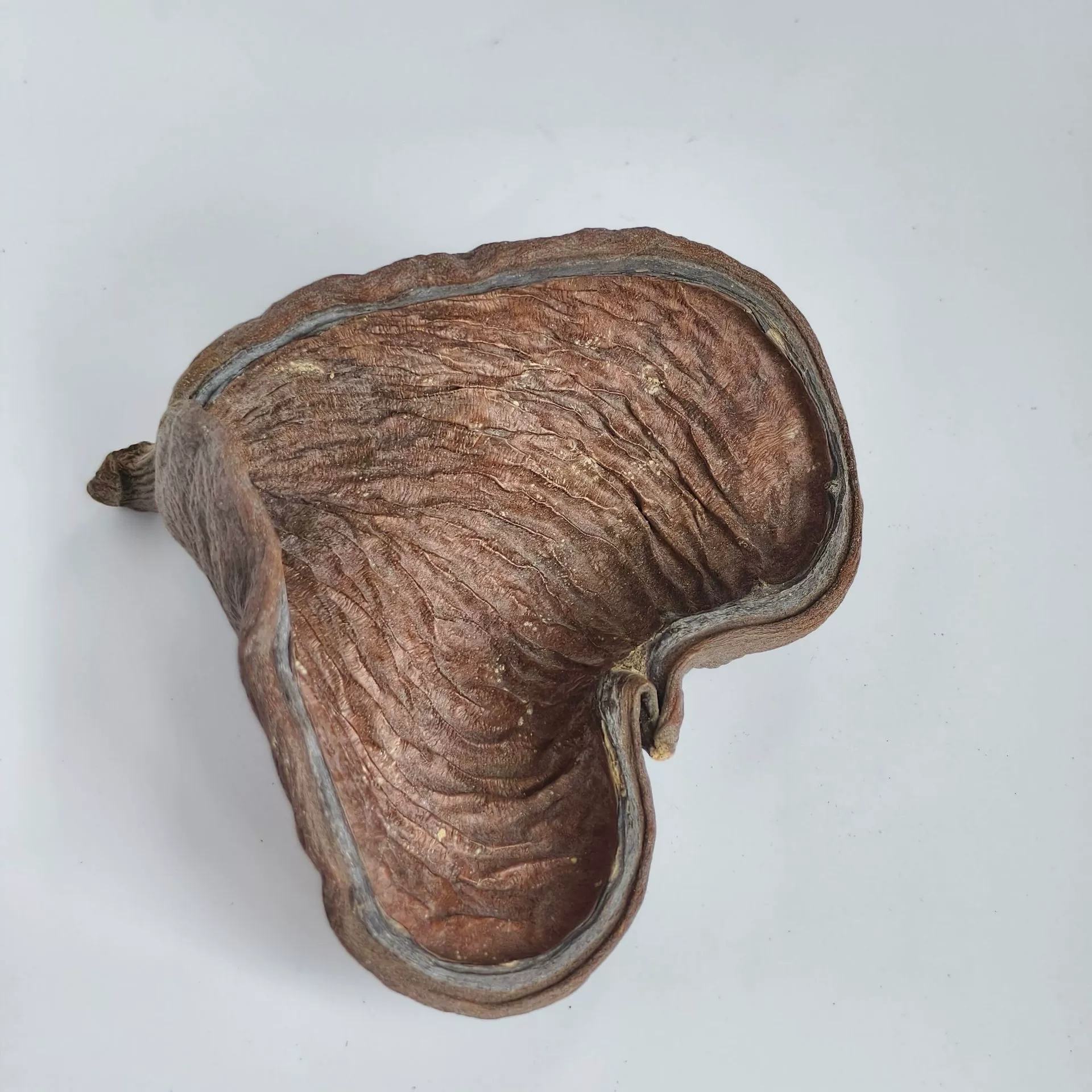 Натуральные растения по индивидуальному заказу, большая яблочная пальма, большое сердце, импортные сушеные цветы, скорлупа сухофруктов, не увядающие цветы, декоративная мебель, реквизит для фотографий