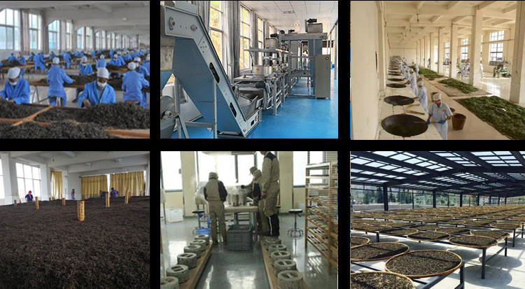 視頻號詳情_r3_c1