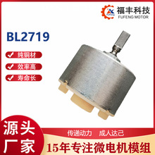 BL2719�őҸ������������oˢ늙C�^����Ħ��늄��o�l���l���R�_